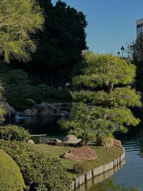 🌸🍵 Phoenix’s Hidden Gem: A Serene Japanese Garden Escape 