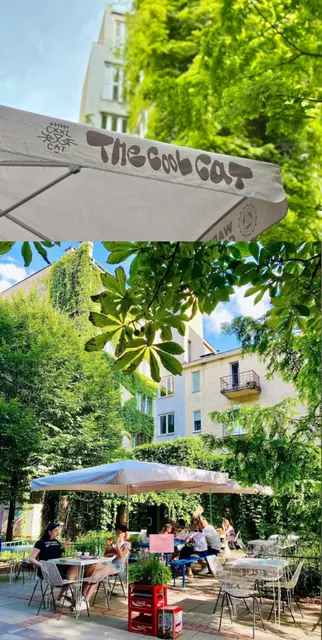 ​​🇵🇱 Warsaw's Asian Food Heaven - The Cool Cat TR is ADDICTIVE!!!​​