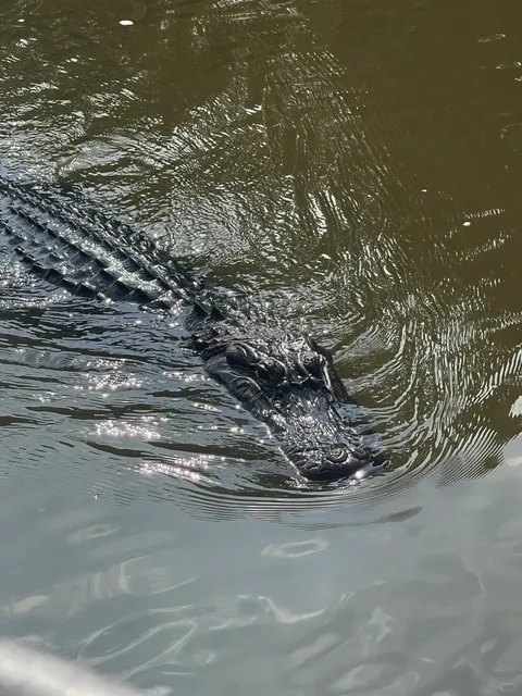 New Orleans NOLA Travel Guide (Attractions Part 1️⃣)