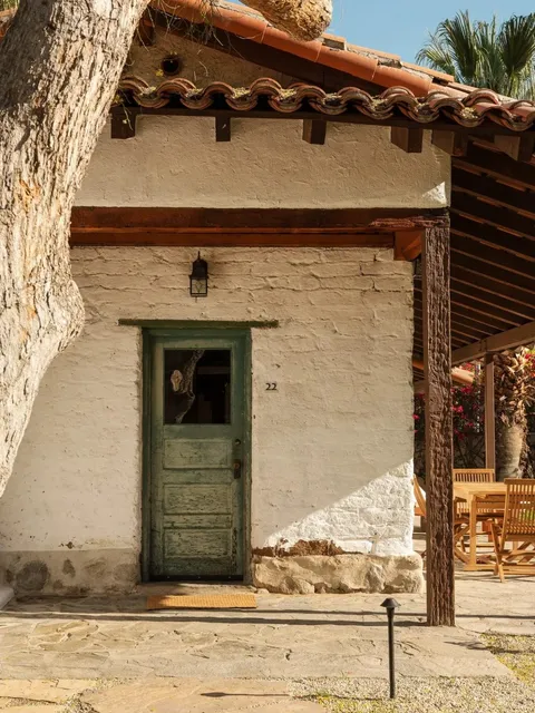 A Hidden Oasis in the Desert 🌵✨