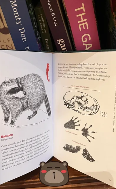 A Typical New York Weekend(2)