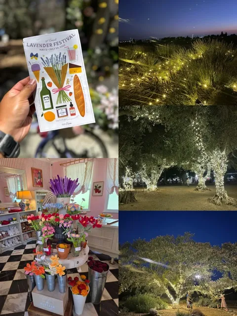 ​​💜 123 Farm Lavender Festival | SoCal’s Purple Paradise 🌿✨​​
