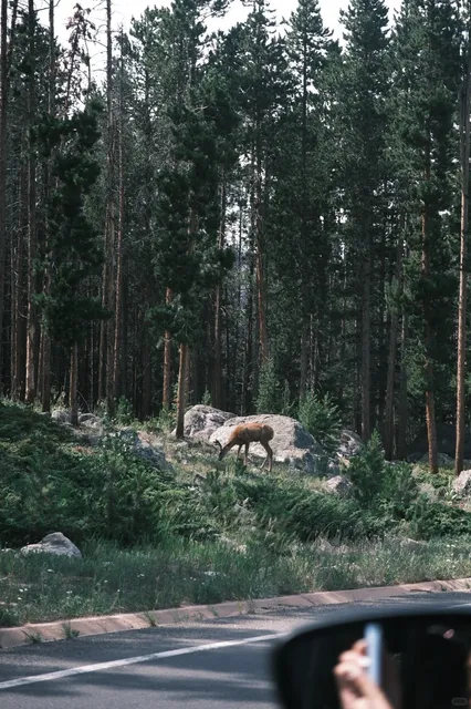 Colorado | 3-Day Food & Fun Itinerary (Perfect for Planners! 🗓️)