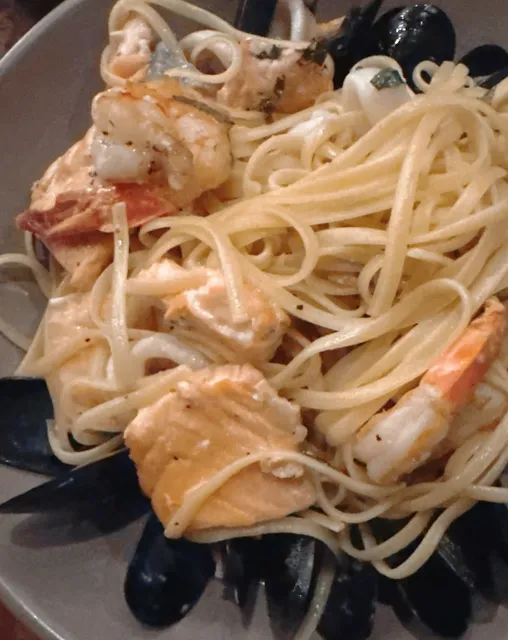 New Moon Plog 🌙: Boston 