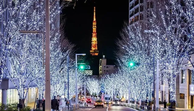 photo-2