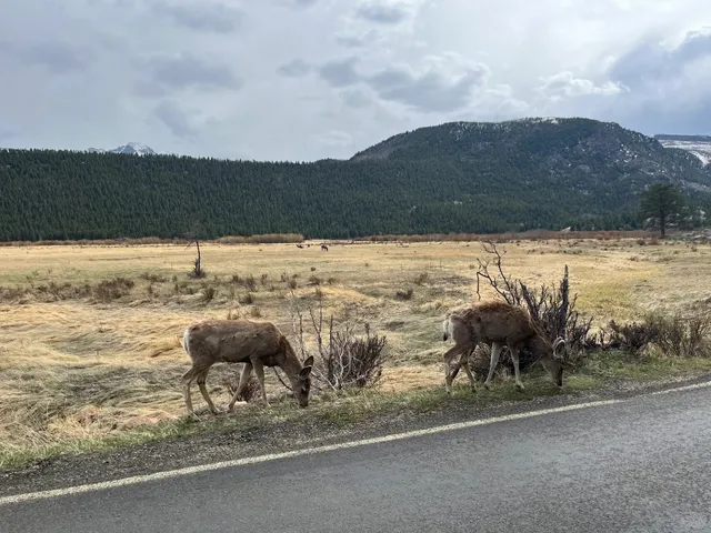 A Place Forgotten by God 🌄