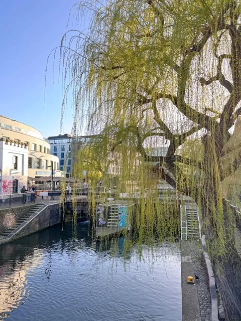 Must-try in London Camden Market | Holy Sheep Rice Noodles