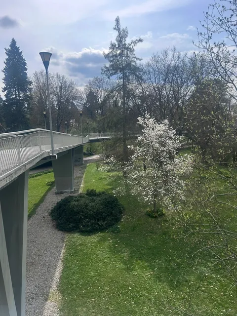 🌟 Olomouc's Parks: A Student's Green Paradise! 🌳📚