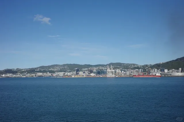 Ultimate Guide to Taking the Ferry to the South Island with Your Car ⛴