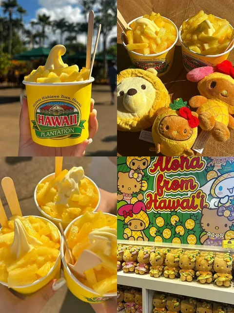 Honolulu, Hawaii Food Guide 🌺 | Perfect for Chinese Taste Buds!