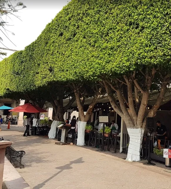 A Relaxing Culinary Destination by Querétaro's Plaza