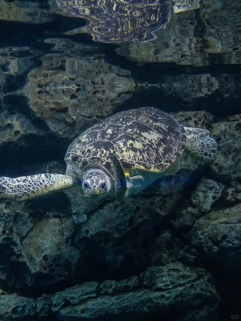 Nagoya Family Travel Tips: Avoid These Pitfalls! (Part 2) 🌟