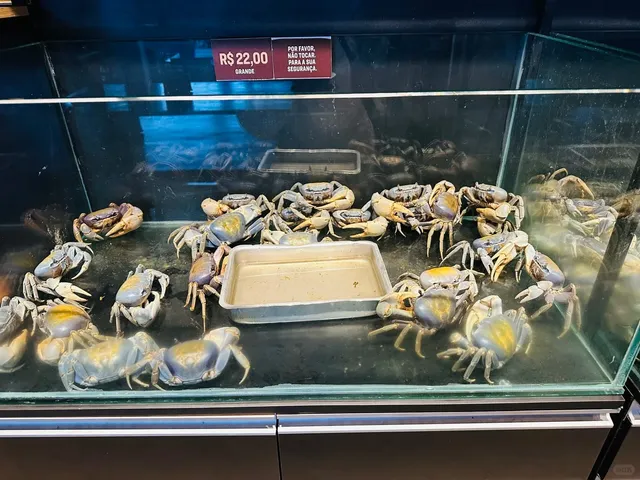 Brazil 🇧🇷 | You'll Break My Heart If You Skip This Crab Spot in Reci