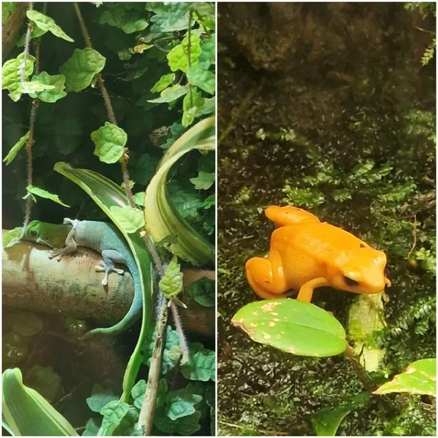 Exploring Nausicaá, One of the World's Largest Aquariums! 🌊🐠