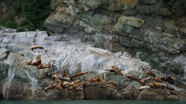 Alaska Cruise - Stop 1: Juneau 🚢🏔️