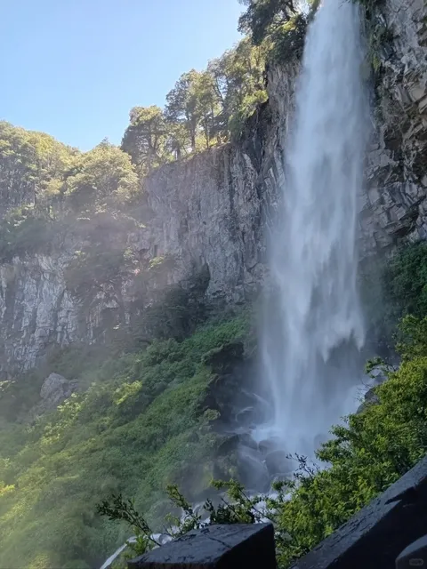 🌿 Parque Nacional Lanín - Where Nature Whispers Adventure
