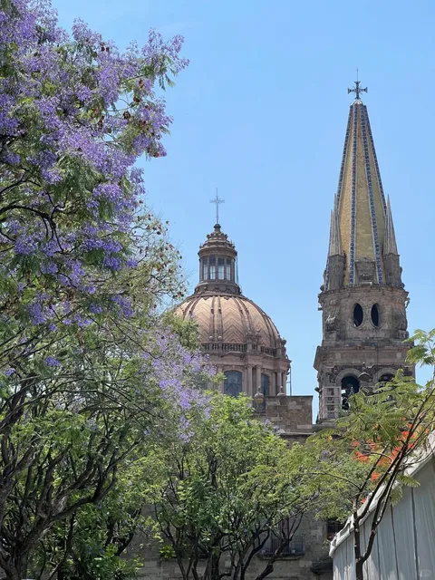 🏙️ Guadalajara — A City with 5 A’s in Its Name ✨