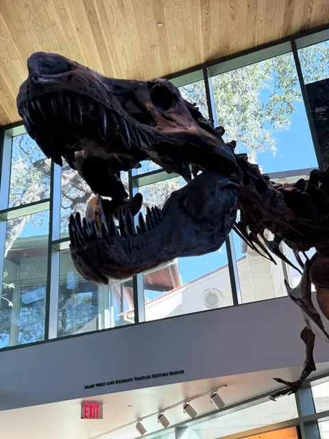 San Antonio – It’s Not Just About the Alamo! 🇺🇸🌵