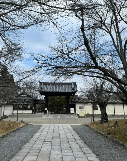 Japan Travel Guide 🌟