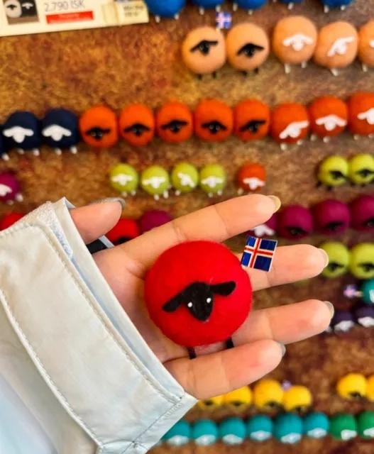 🇮🇸 Reykjavik Must-Visit Spots: Eat & Explore