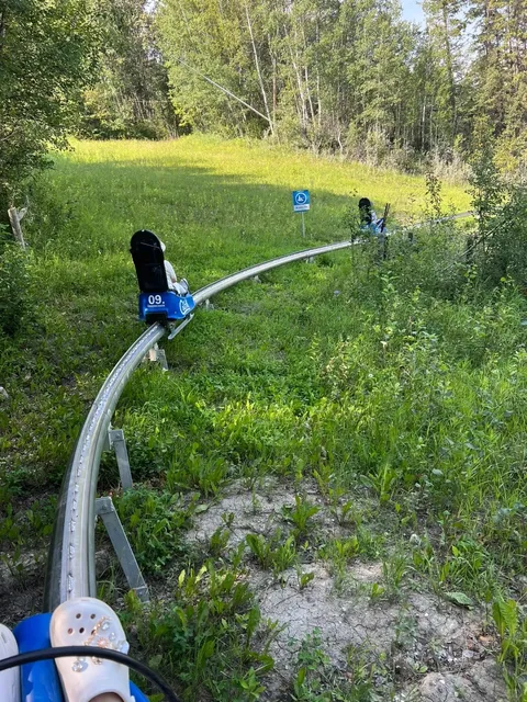 🚗 Red Deer Day Trip Adventure! 🎊