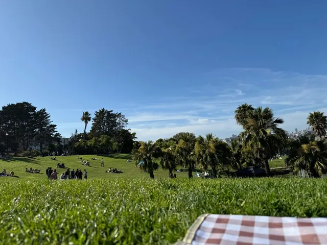 Is This the Most Chill Weekend in the Bay? 🌿☀️