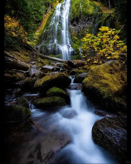Oregon, USA | Complete Guide to Proxy Falls 🌊