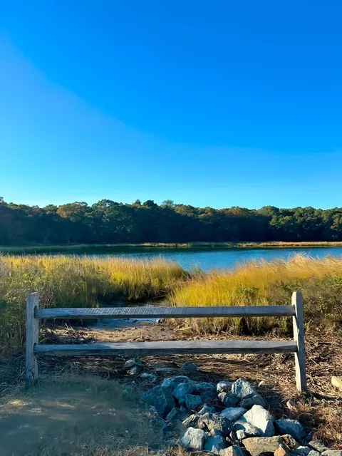 ​​Northerly Island: Chicago’s Urban Oasis 🌿🌆​​