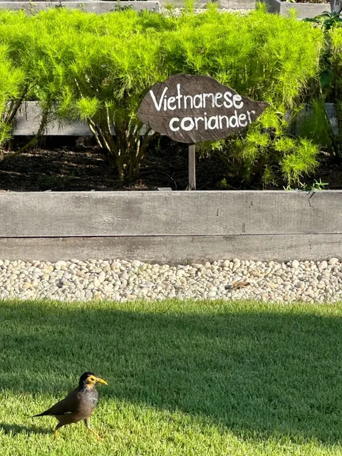 Holiday in Pattaya 🌴