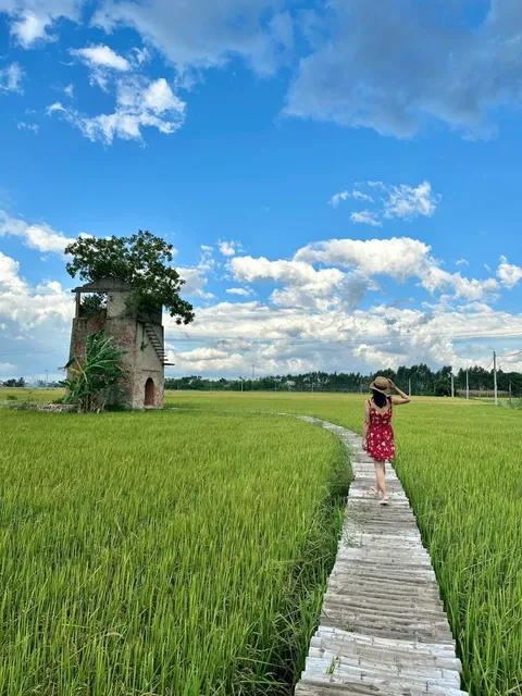 "Accidentally Stumbled Into a Painting!" 🎨🌾