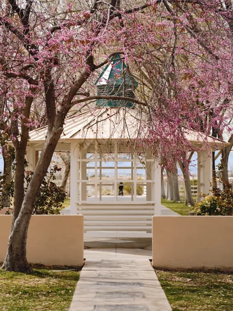 𝙃𝙚𝙮 𝙎𝙥𝙧𝙞𝙣𝙜 𝘽𝙧𝙚𝙖𝙠! 🌸🦮👨👩👧👦