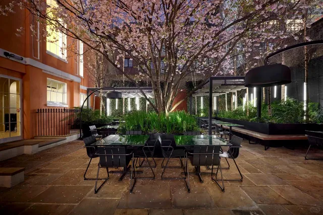 Secret Garden 🌿✨