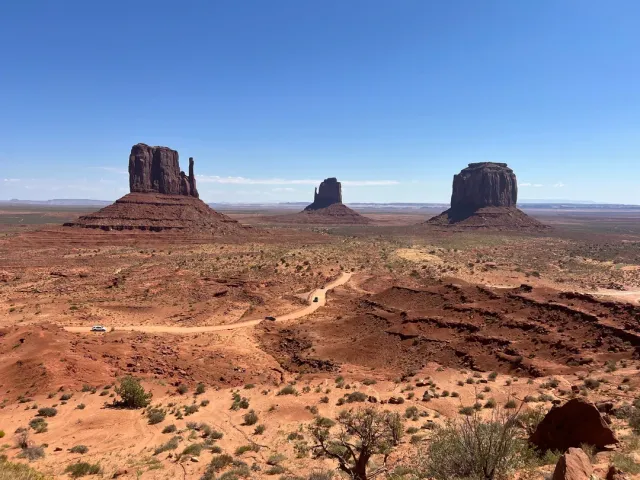 🌿 Moments of Magic Every Single Day 🌍