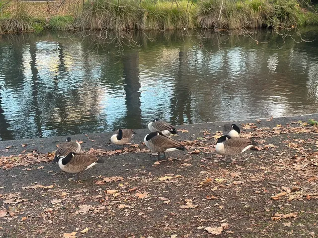 🇳🇿 Christchurch | More Than Just a Pit Stop!