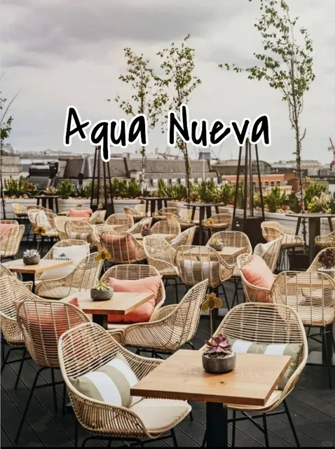 Restaurant Visit | Aqua Nueva  🎉