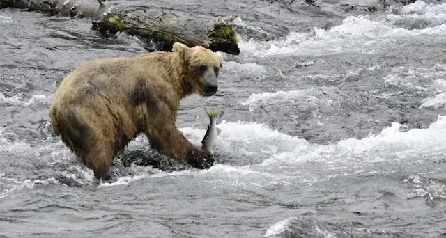  Alaska Travel Guide (West Route) – Recommendations & Tips