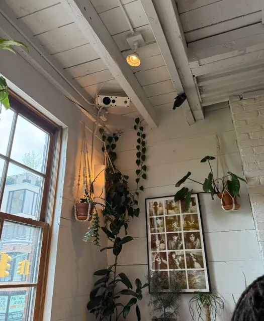 New York | Sunday in Brooklyn 🌟