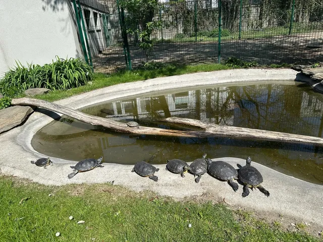 Poznań Zoo: A Wild Adventure in Poland! 🦁🐘🌿