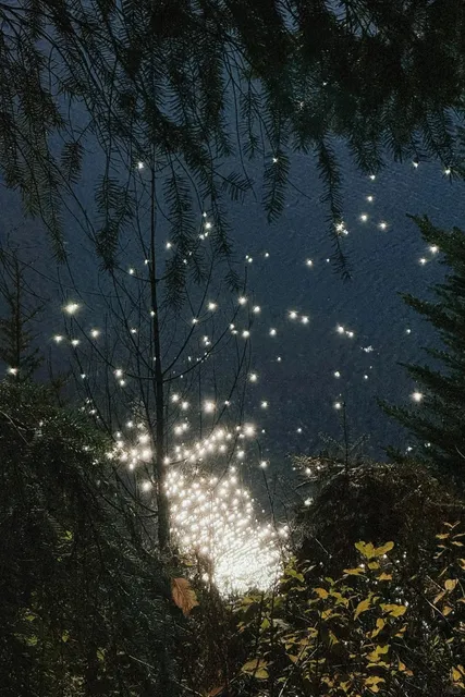 Seattle’s Little Jiuzhaigou for a Joyful Oxygen Fix 🌳✨