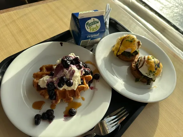 Interislander Ferry Guide & Experience