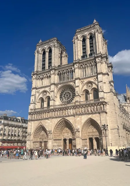 Notre-Dame de Paris - The Light, Shadow and Chant of Rebirth 