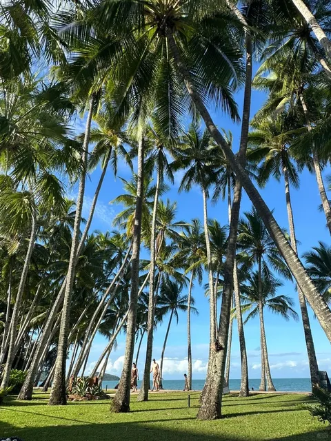 Cairns: The Ultimate Tropical Getaway 🌴🌊