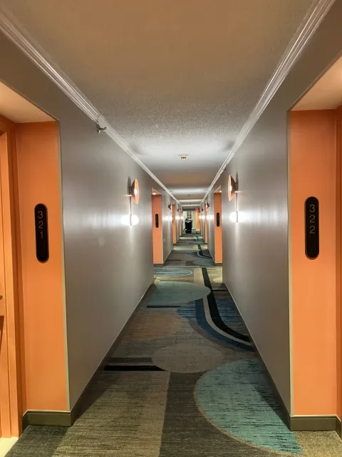 A Hidden Gem in Miami! 💎✨