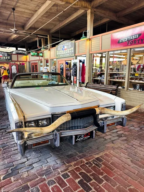 The cowboys here aren’t exactly busy either! 🤠