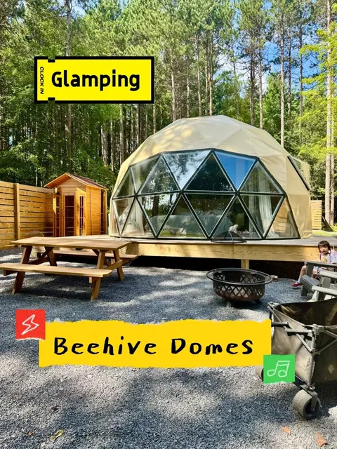 Beehive Glamping: A Hassle-Free Camping Experience in the DMV! 🏕️✨