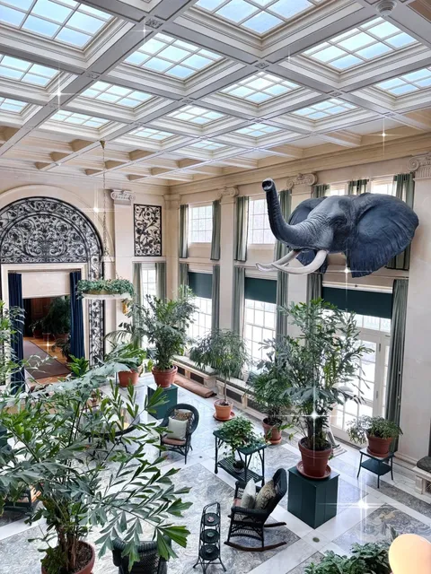 Hooray, it's Rochester! 🎉🏟😅 North American expats, we're saved! 