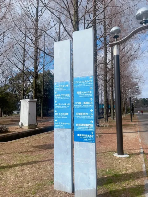 Enjoying Tea at Tsurumiryokuchi Park 🍵 | Ryokuchikoen