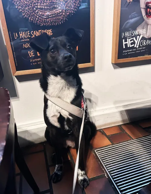 Don't miss the exhibition at St. Peter's Hall! 🧩