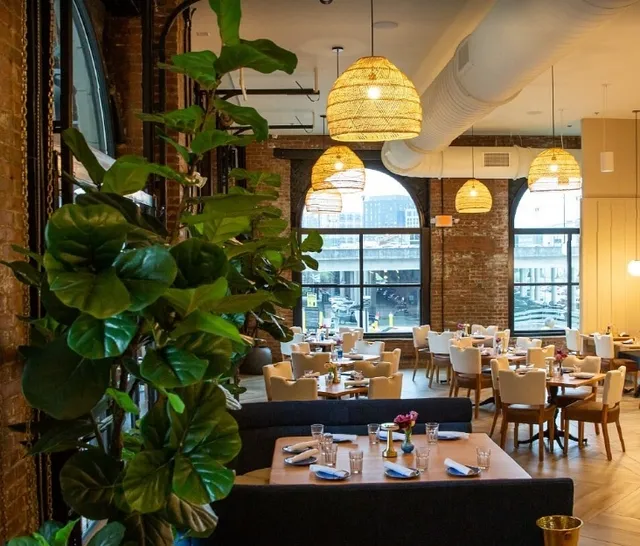 The Finch: A Lively Modern Restaurant!