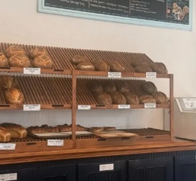 🌿 Allegro Bakery - Where Vegan Baking Becomes Art! 🎨